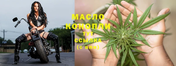 индика Осташков