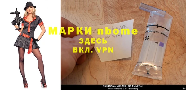 индика Осташков