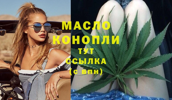 индика Осташков