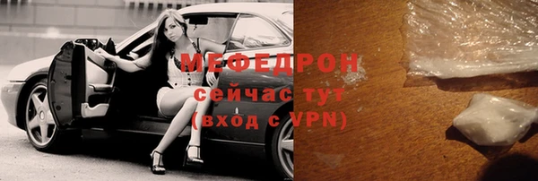 индика Осташков