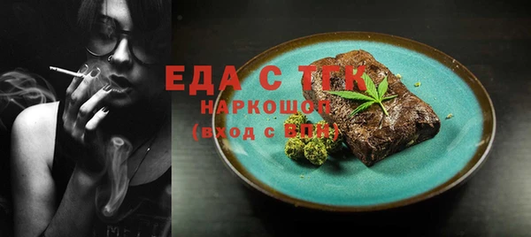 индика Осташков