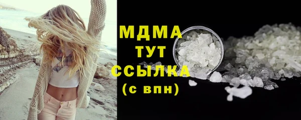 индика Осташков