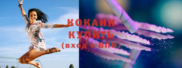 индика Осташков