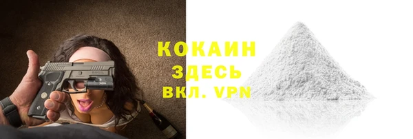 индика Осташков