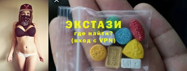 индика Осташков