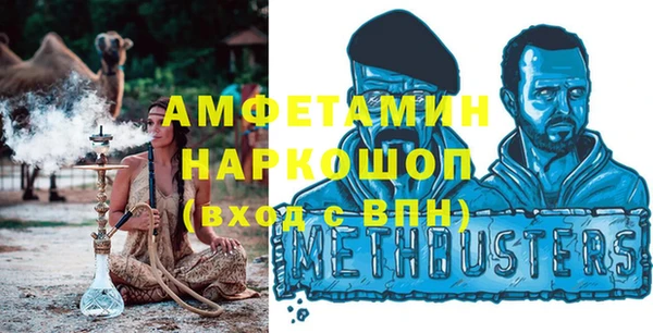 индика Осташков