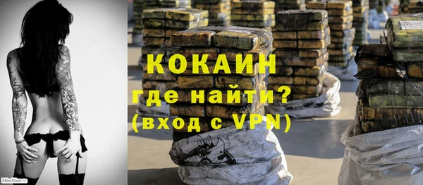 индика Осташков