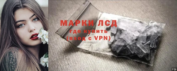 индика Осташков