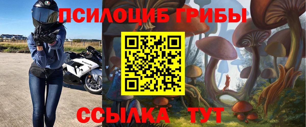 Псилоцибиновые грибы Psilocybe  Вход с VPN  Алексин  Псилоцибиновые грибы ЛСД 