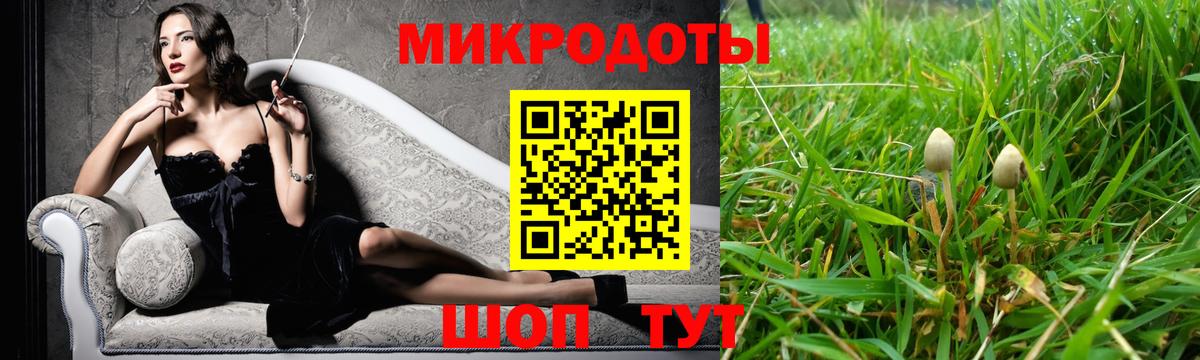 Галлюциногенные грибы прущие грибы  Алексин 