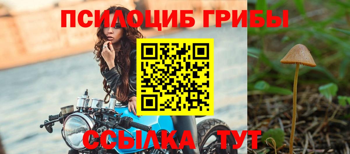 купить  цена  Псилоцибиновые грибы мухоморы  Алексин  Вход с VPN  Галлюциногенные грибы Cubensis 